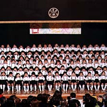 狛江こだま幼稚園の写真5