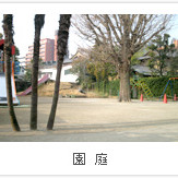 双葉幼椎園の写真2