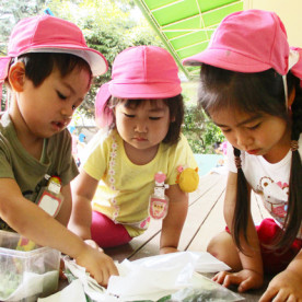 育英幼稚園