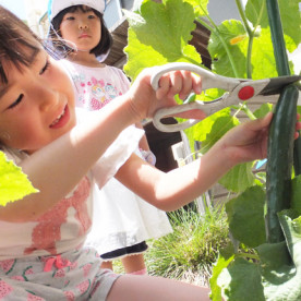 育英幼稚園の写真3