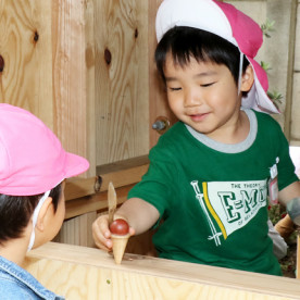 育英幼稚園の写真5