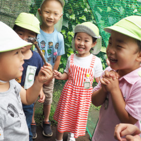 育英幼稚園の写真2