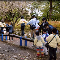 小鳩幼稚園の写真5