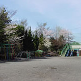 武蔵野幼稚園の写真2