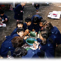 大島新生幼稚園の写真3