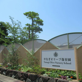 やなぎオリーブ保育園