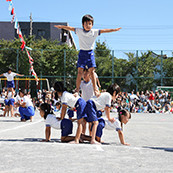 福寿院幼稚園の写真5