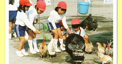 仙川かおる幼稚園