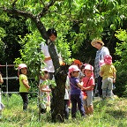 啓明学園幼稚園の写真2