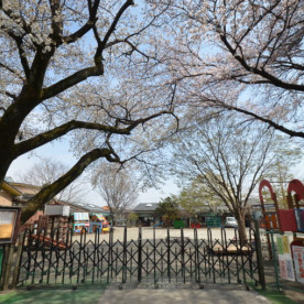 なかの幼稚園の写真3