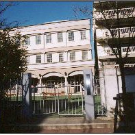 日本音楽学校幼稚園の写真2