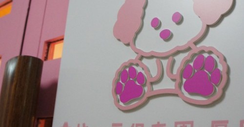 サクラ保育園厚別西