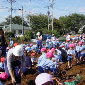 調布たちばな幼稚園の写真4
