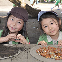 調布白菊幼稚園の写真3