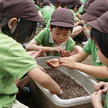 調布白菊幼稚園の写真4