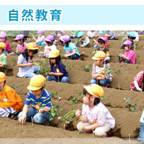 八王子白百合幼稚園の写真5