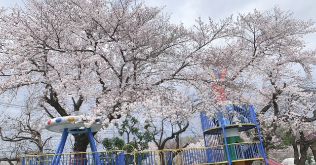 清瀬たから幼稚園