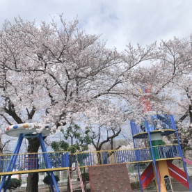 清瀬たから幼稚園の写真3