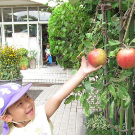 葛飾若草幼稚園の写真4