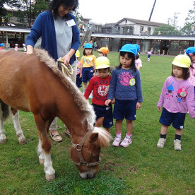 藤幼稚園の写真5