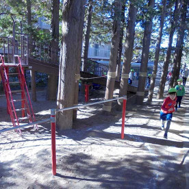 藤幼稚園の写真3