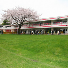 清瀬ゆりかご幼椎園の写真2