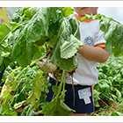 きよせ幼稚園の写真5