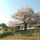 神山幼稚園の写真3