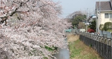 富貴島保育園
