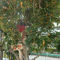 行徳保育園の写真3