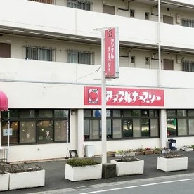 アップルナースリー保育園 南行徳園