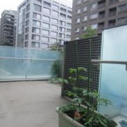 ニチイキッズさわやか日本橋浜町保育園の写真2