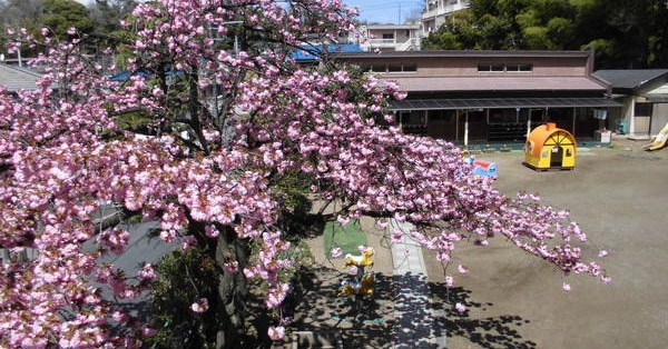 松戸いずみ幼稚園