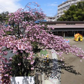 松戸いずみ幼稚園