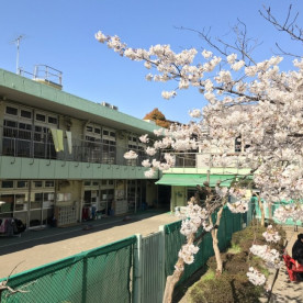 大森南保育園