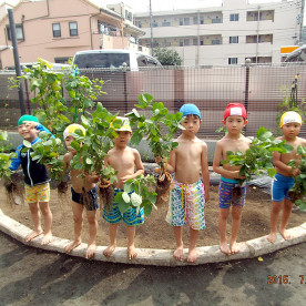 田無ひまわり保育園の写真3