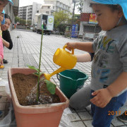 ぽけっとランド国領