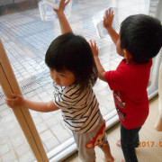 ぽけっとランド国領の写真3