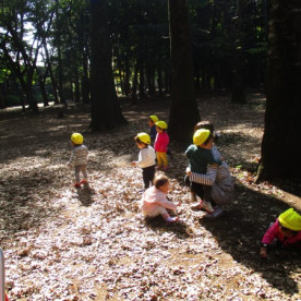 日生吉祥寺保育園ひびきの写真5