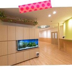 ひふみ保育園