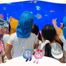 認定こども園浦和めぐみ幼稚園の写真3