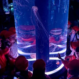 認定こども園双恵幼稚園