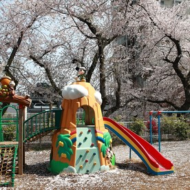 ゆめいろ保育園の写真2