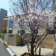 ぽけっとランド千住曙町