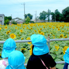 ステラ千住保育園の写真3