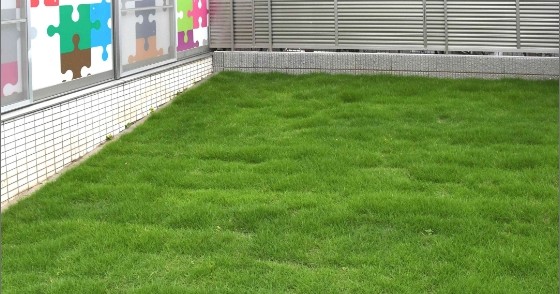 リトルやまゆり保育園