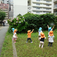 コスモス保育園の写真3
