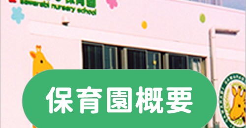 一般社団法人さわらび会さわらび保育園
