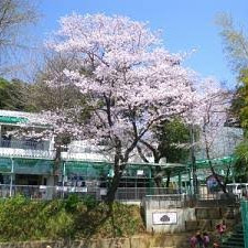 小野路保育園
