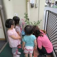 ニチイキッズさわやか白金高輪保育園の写真2